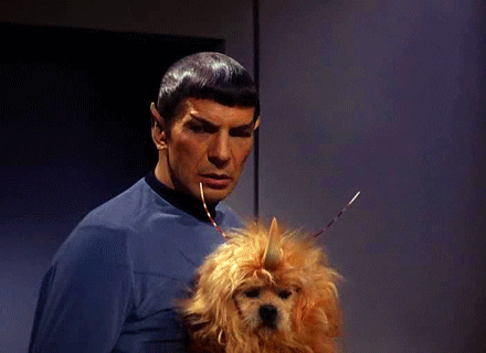 Article GIF