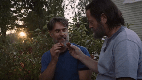 Article GIF
