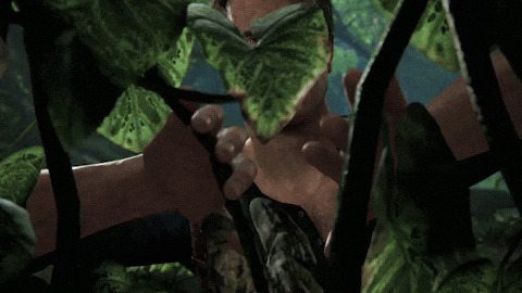 Article GIF